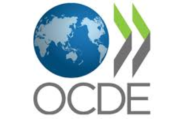 Convention multilatérale de l’OCDE pour prévenir l’érosion de la base d’imposition et le transfert de bénéfices
