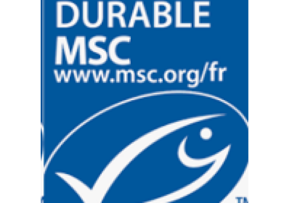 Jersey et le Cotentin à nouveau certifiées pêche durable sur le homard